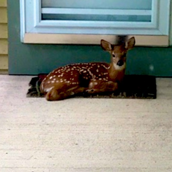 Meet your Posher, DevereauxCassie - Picture 9 of 12